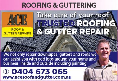Ace Roof &#038; Gutter Repairs
