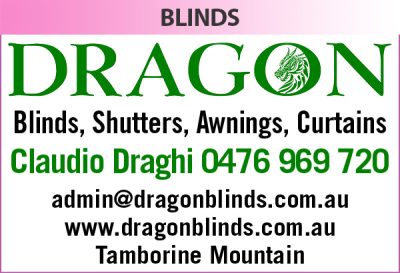 Dragon Blinds
