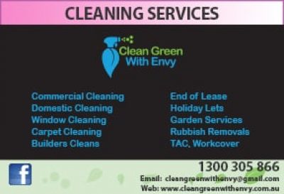 Clean Green with Envy Cleaning Solutions
