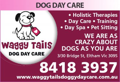 Waggy Tails Dog Day Care