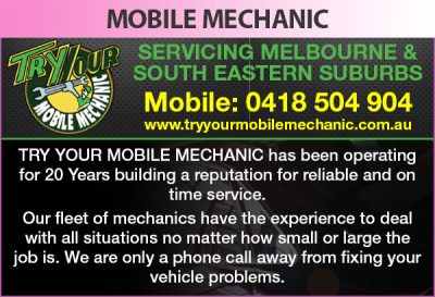 Try Your Mobile Mechanic