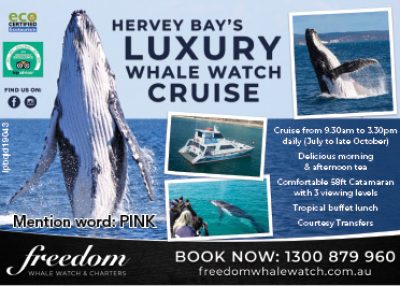Freedom whale watch