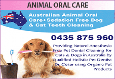 Australian Animal Oral Care
