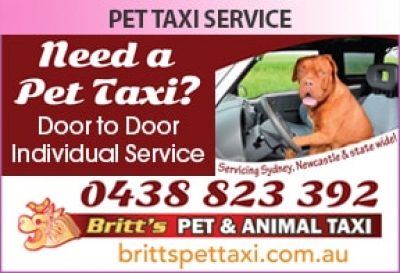 Britt&#8217;s Pet &#038; Animal Taxi