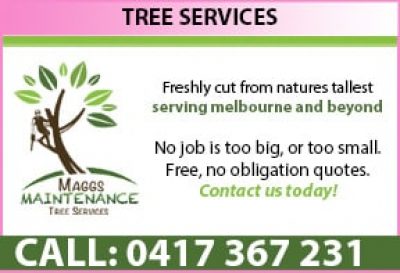 Maggs Maintenance &#8211; Tree Specialists