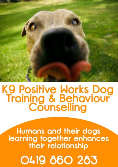 K9 Positive Works Dog Training &#038; Behaviour Counselling