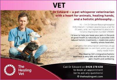 the healing vet