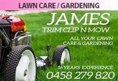 James Trim Clip n Mow