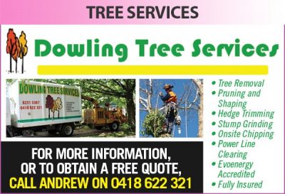 Dowling Tree Services