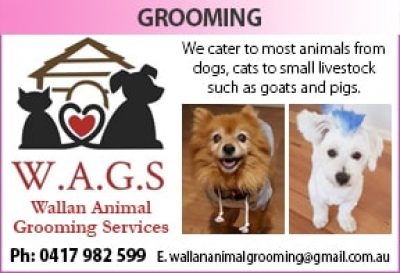 Wallan Animal Grooming Services
