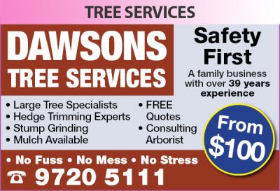 Dawsons Tree Services