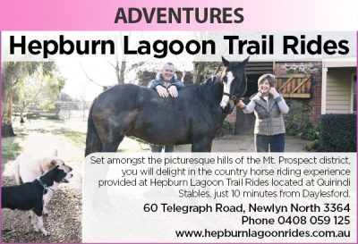 Hepburn Lagoon Trail Rides