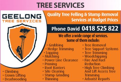 Geelong Tree Services