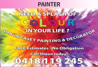 Shaun Casey Painting &#038; Decorator