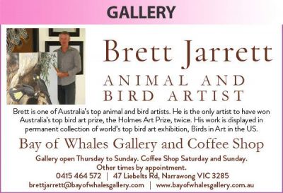 Bay of Whales Gallery and Coffee Shop