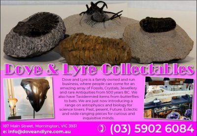 Dove &#038; Lyre Collectables